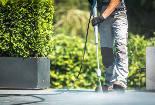 Best Dumpster Area Cleaning  in New Chicago, IN